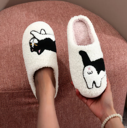 Cat Slides