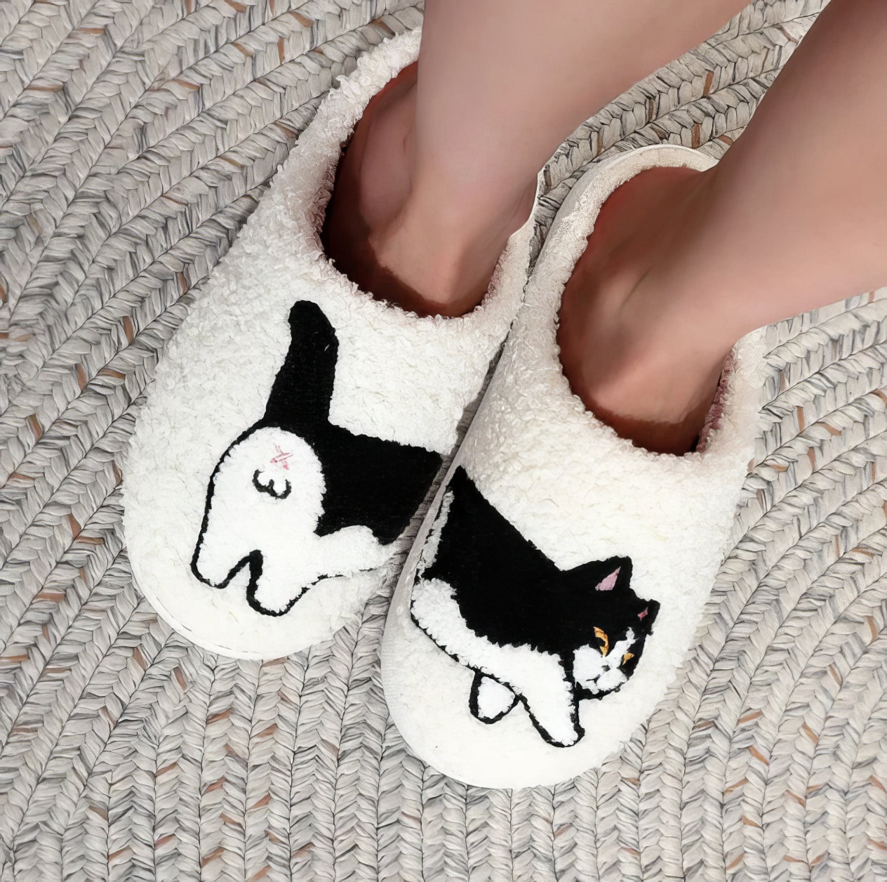 Cat Slides