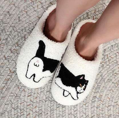 Cat Slides